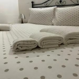  Appartamento 2 Passi Dal Mare Di Ampio Trilocale